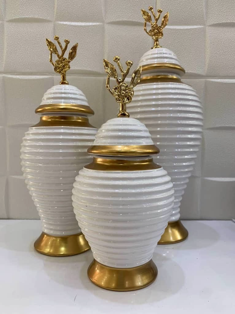 Stylish Decorative Vase Set of 3 with Lids